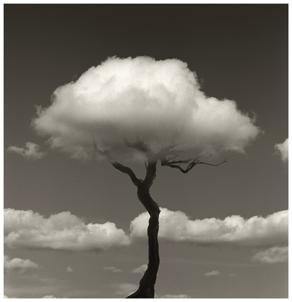 Chema Madoz, VEGAP, Madrid 2009