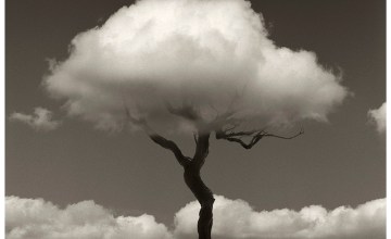 Chema Madoz, VEGAP, Madrid 2009