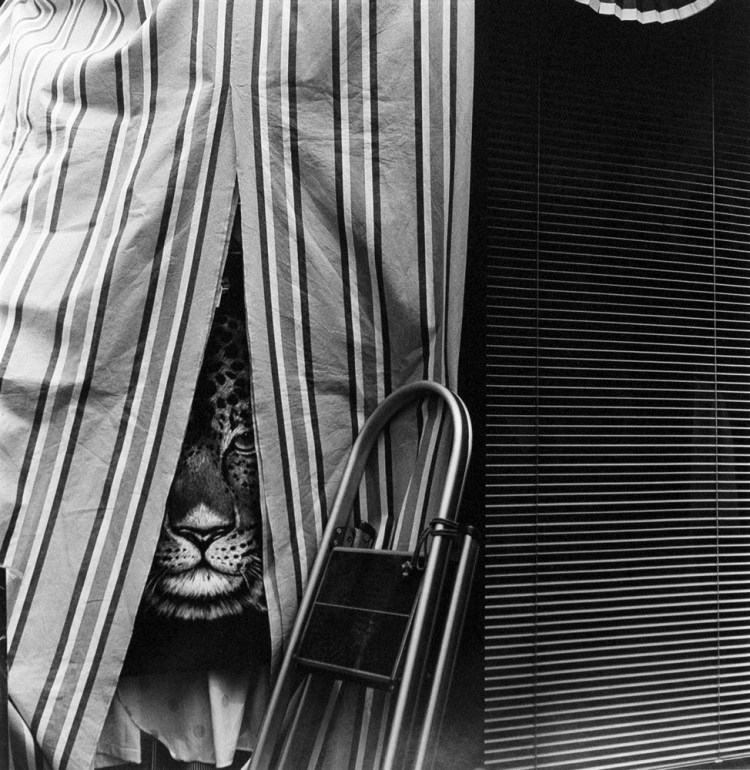 Untitled from Nus_1995_Asako Narahashi