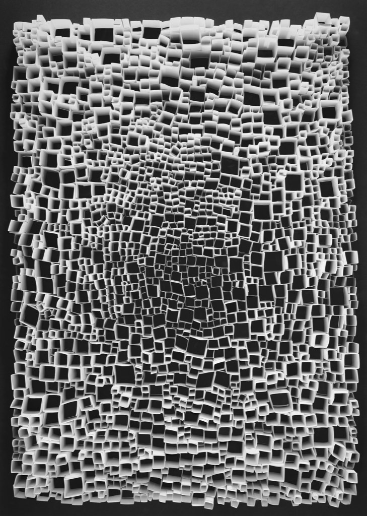 Christiane Feser, Partition 54, 2016Photoobject — 140 × 100 × 3 cmCourtesy de l_artiste et galerie Anita Beckers.