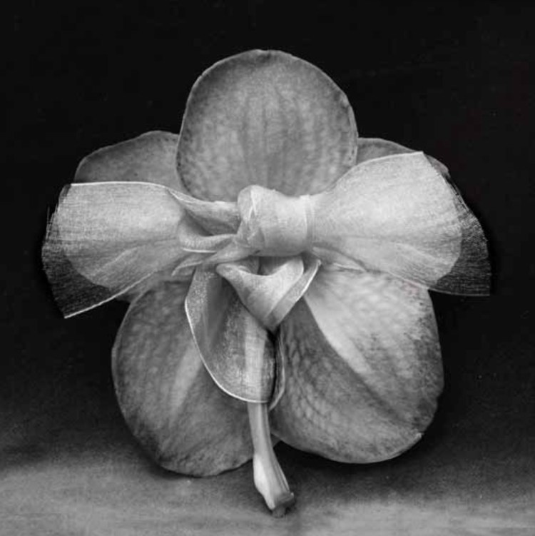 Le-dos-à-la-peau-soyeuse-de-Kikura_christine Mathieu