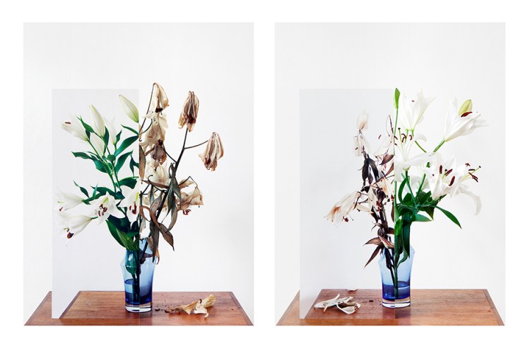 MIKKO RIKALA_OBLIVION TOWARDS ORDER, 2014 PIGMENT PRINT 65 X 49,5CM X 2 EDITION OF 6