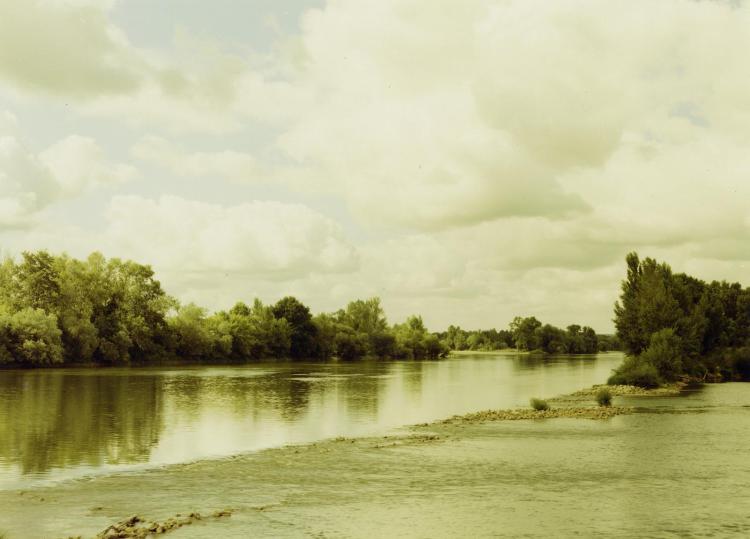 Chouzé-sur-Loire, Frankreich 2004 - © E. Esser