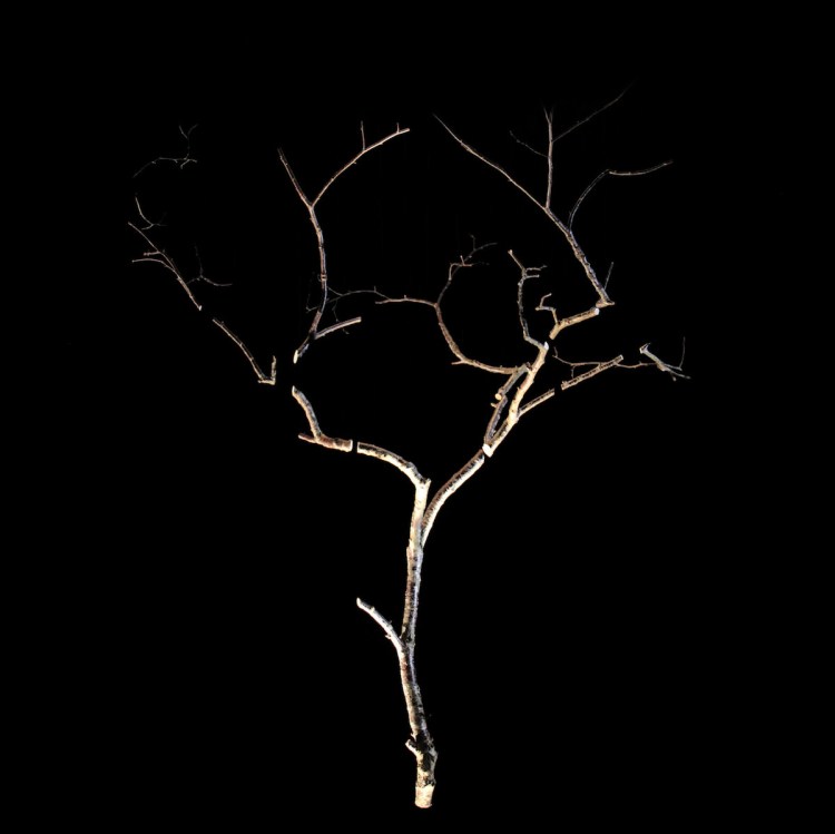 Laurent Debraux [+] La mare aux fées, 2012