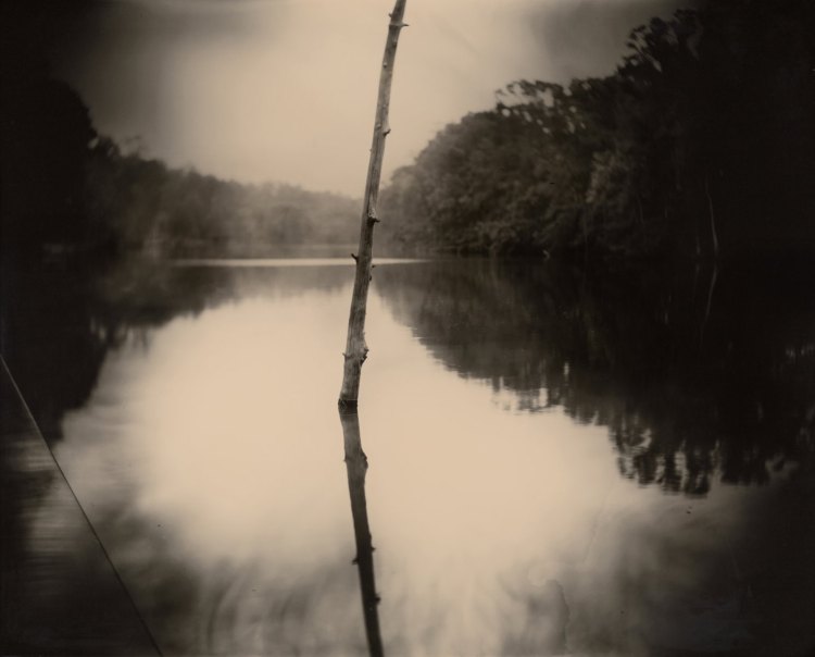 SALLY-MANN-NGA-04-Deep-South-Untitled-Stick-1998-4870-026