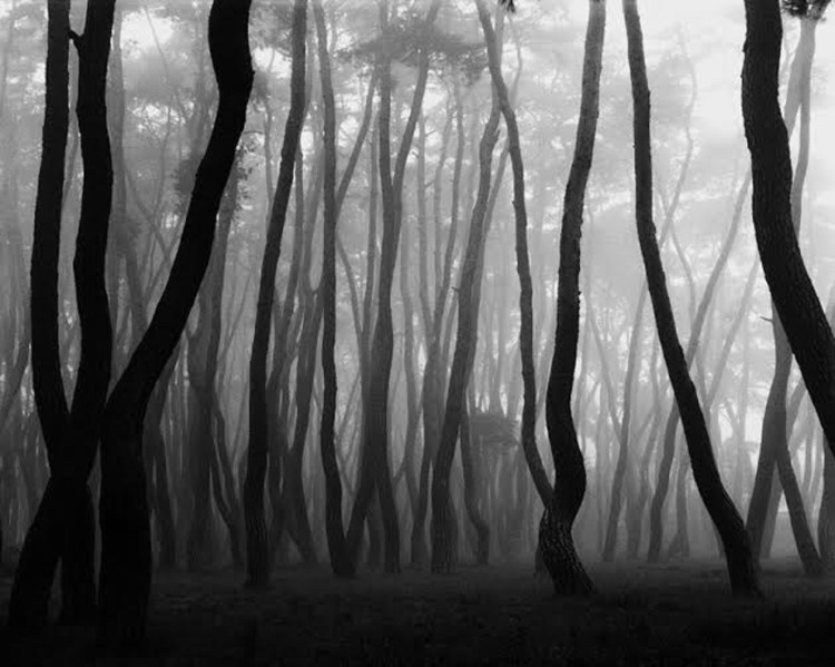 Bae Bien-U, 2013. C-Print, diasec contrecollé sur Dibond, encadré. 135 x 260 cm.