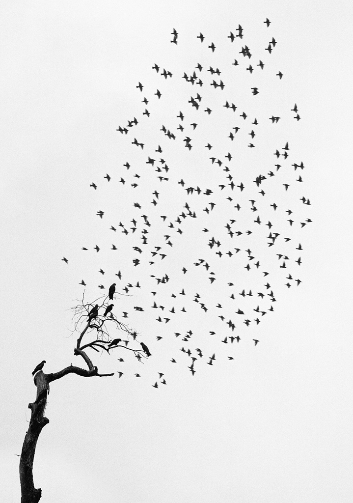 Pentti-Sammallahti_Delhi-India-1999_1024px