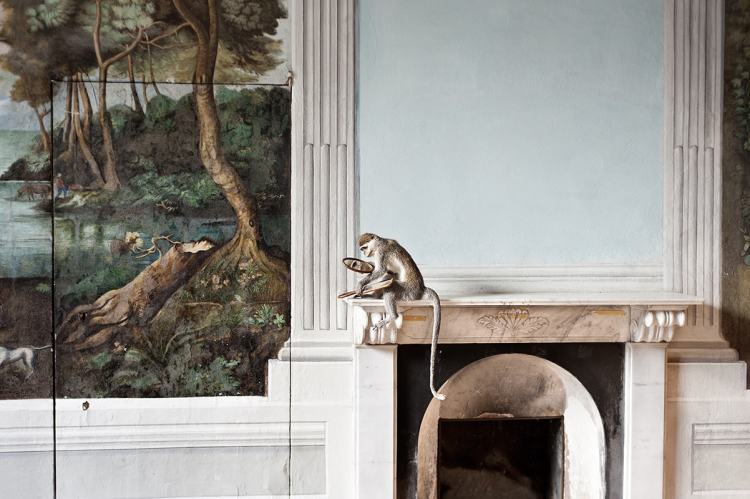 The Modern Spirit is Vivisective.2 © Francesca Catastini