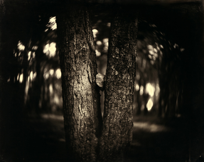 Eric Antoine, La séparation, 0 Ambrotype Courtesy of the artist &amp; Galerie Berthet — Aittouarès, Paris